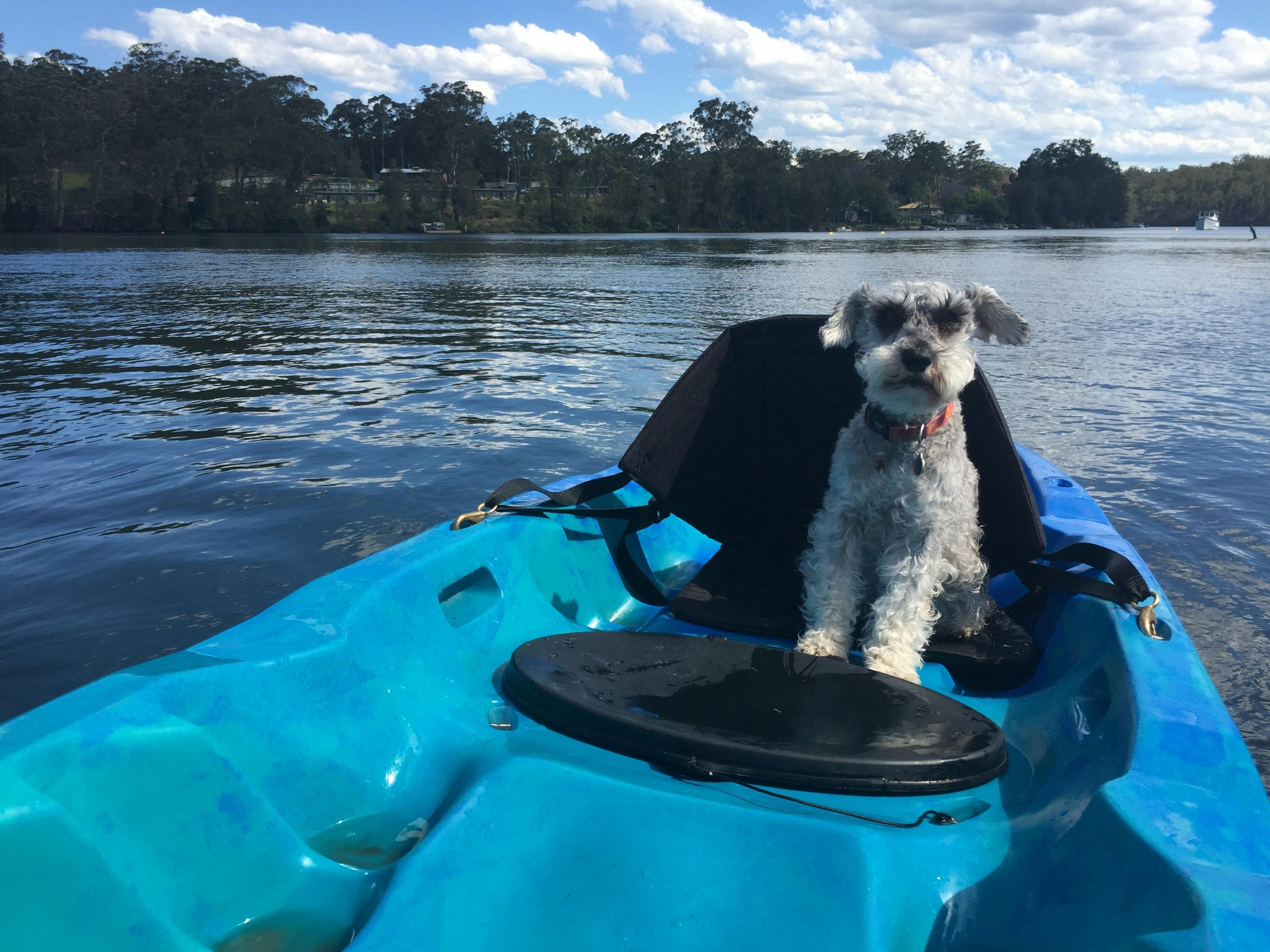 Nelligen Kayak Hire. Ellie on a single kayak. Nelligen near Batemans Bay.