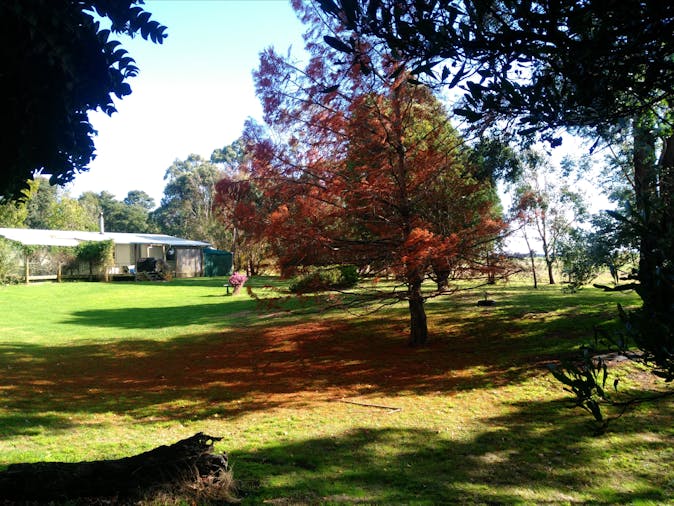 Bush Haven Cottages