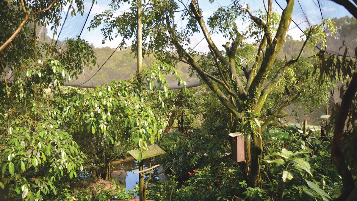 Birdworld Kuranda