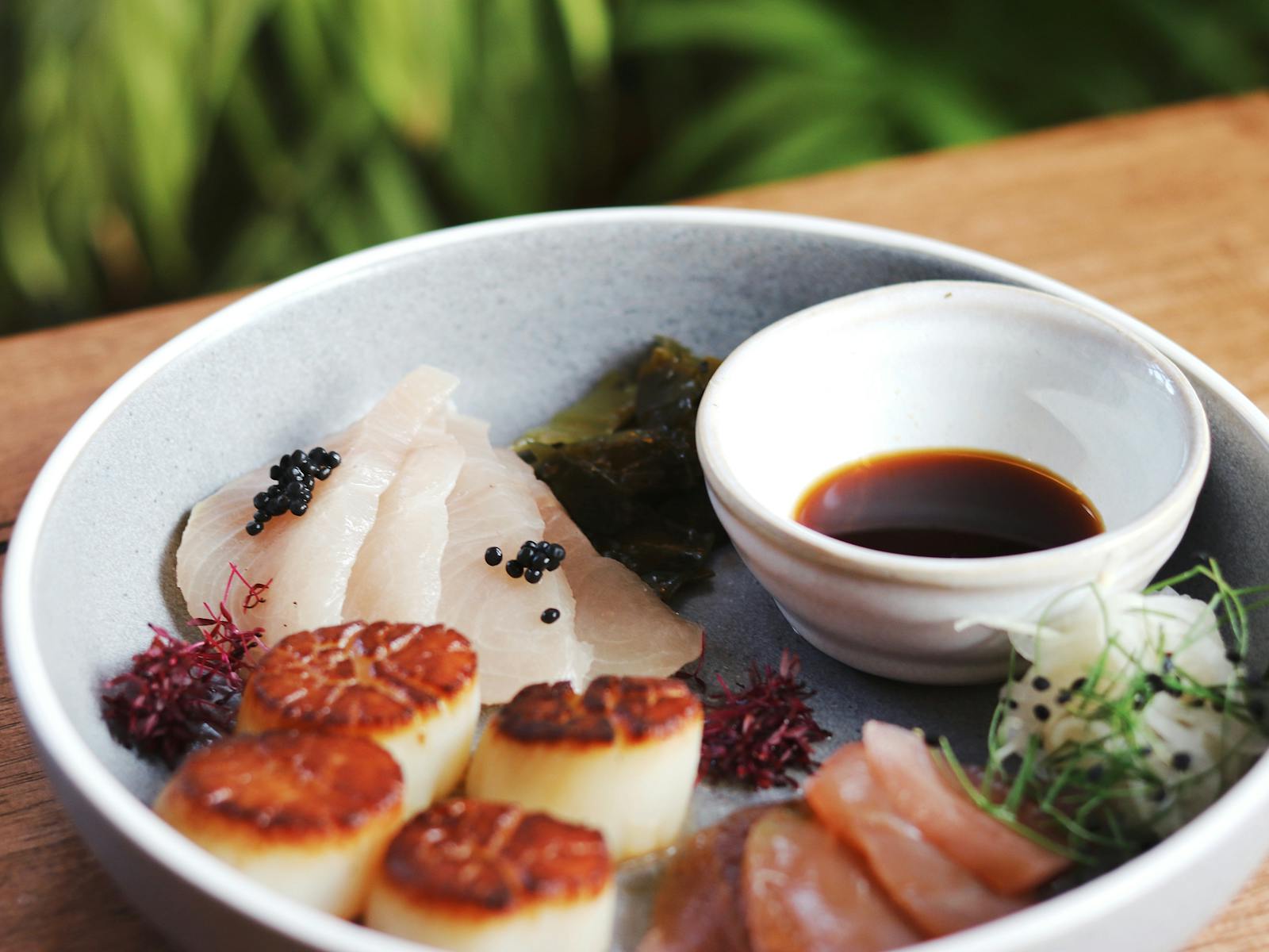 A bowl features scallops, kingfish, ocean trout with a small bowl of ponzu sauce