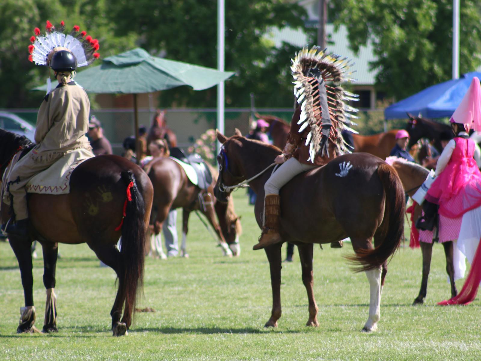 Image for Holbrook Annual Agricultural Show