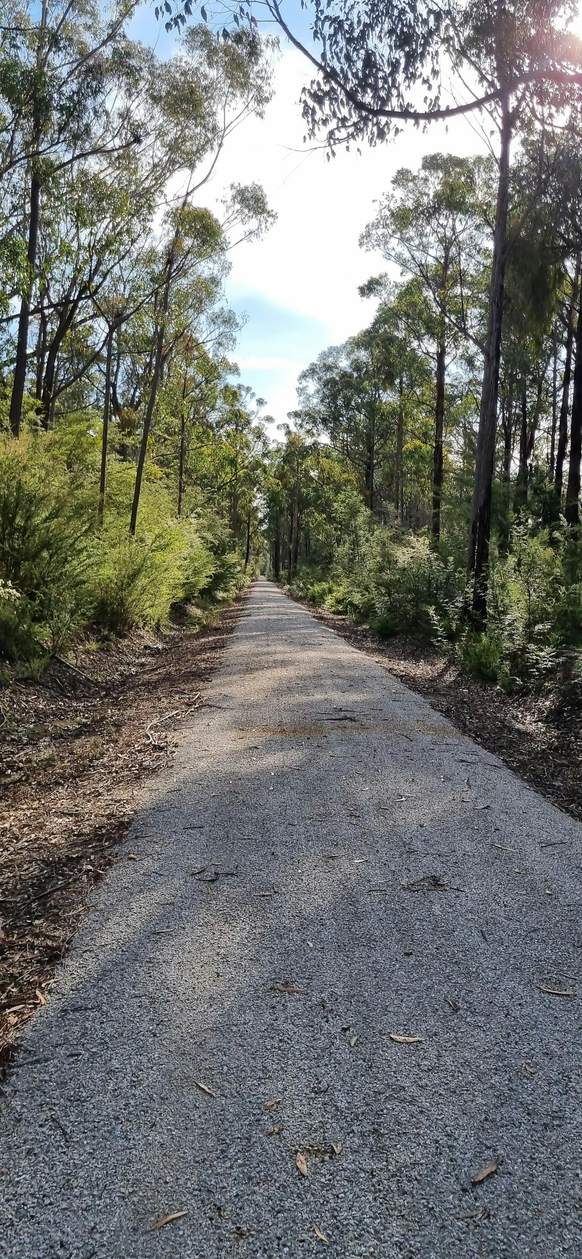 East Gippsland Rail Trail