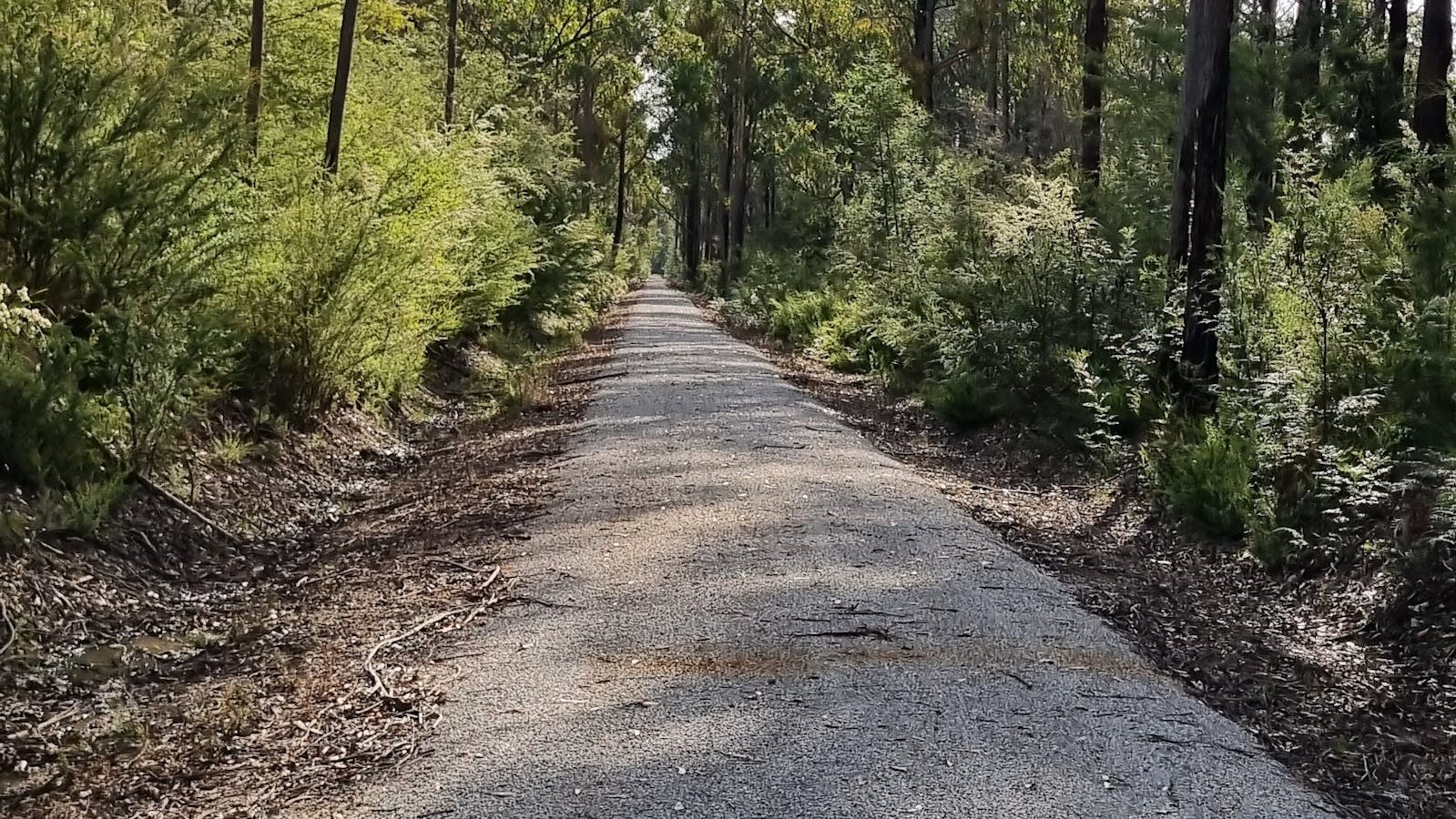 East Gippsland Rail Trail