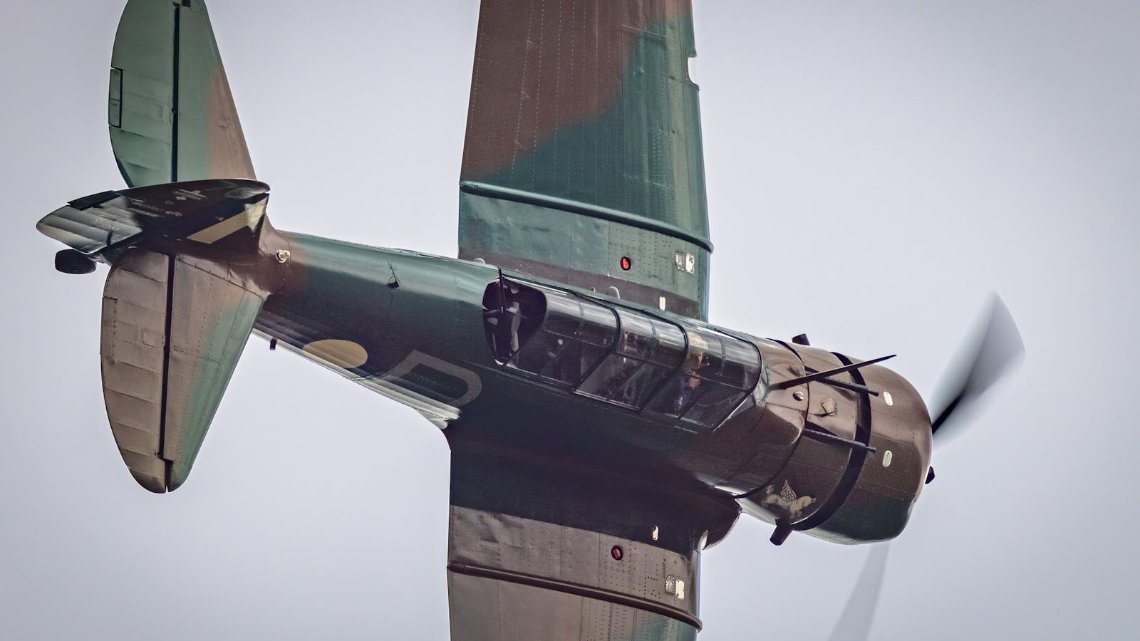 Warbird Aerobatic Flight on CAC Wirraway