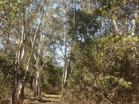 Penola Conservation Park