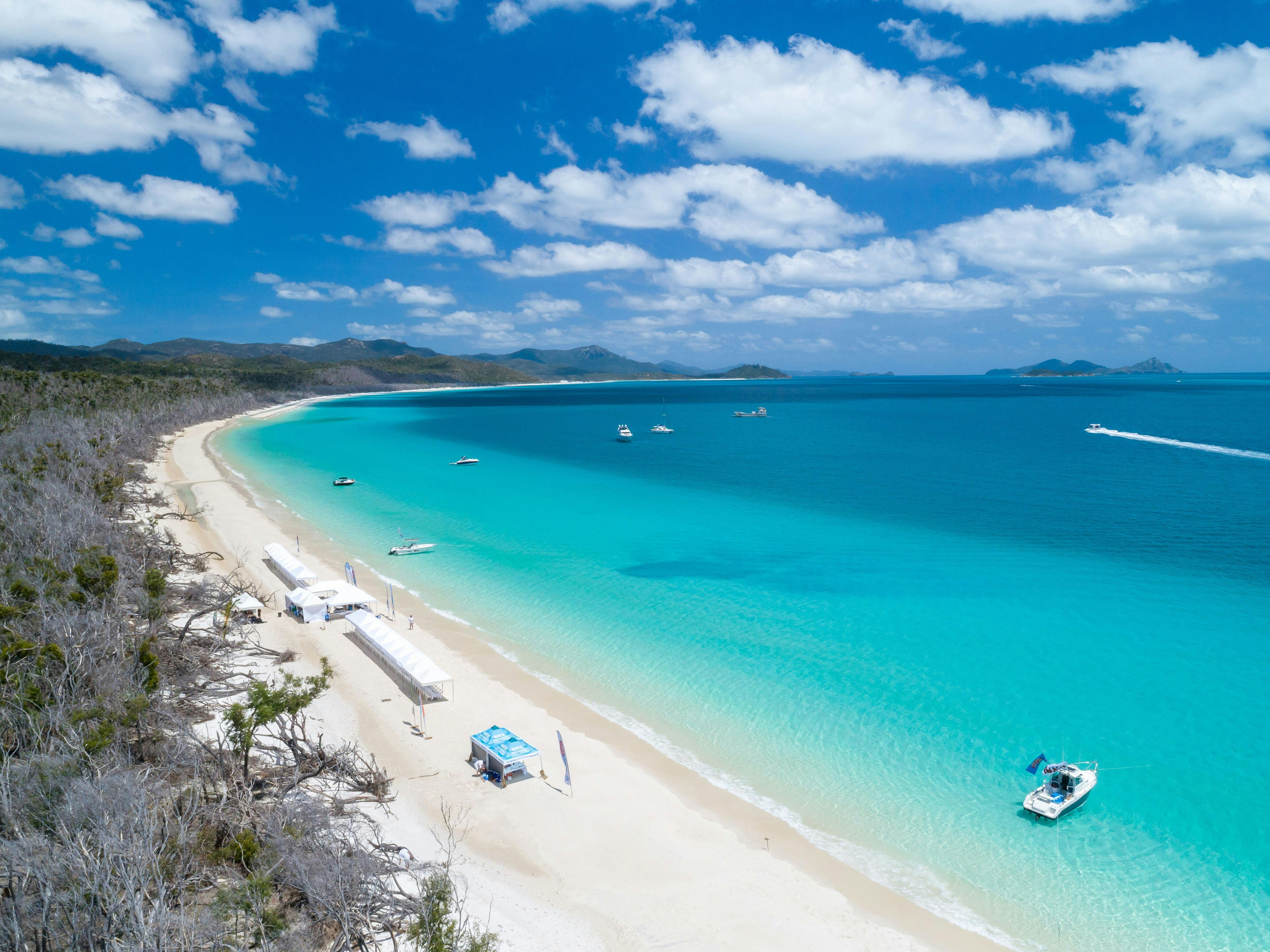 White on Whitehaven by Fish D'Vine