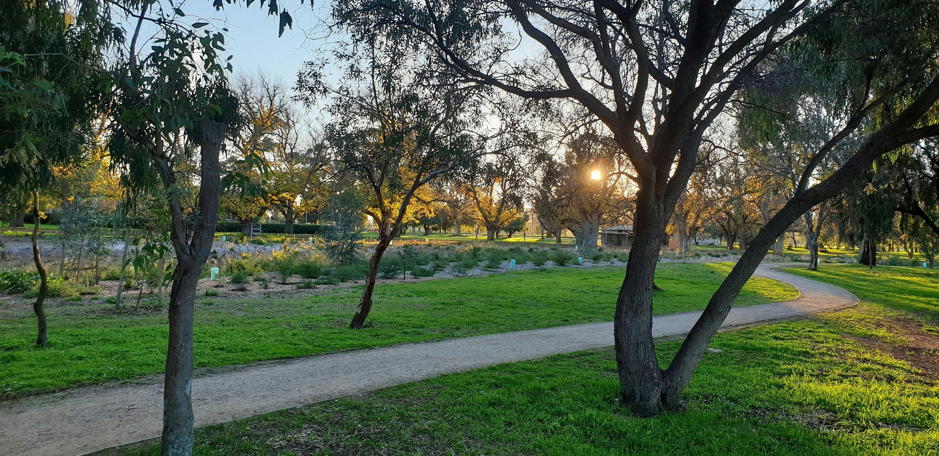 Carriageway Park / Tuthangga (Park 17)