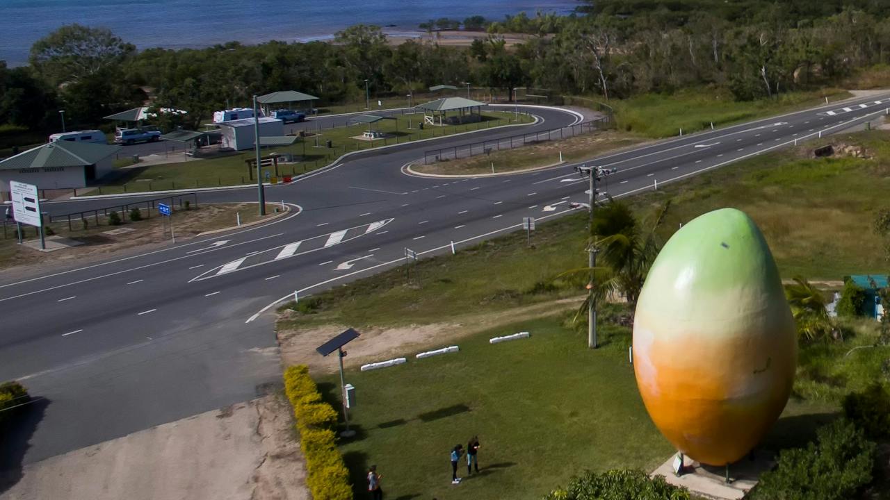 The Big Mango