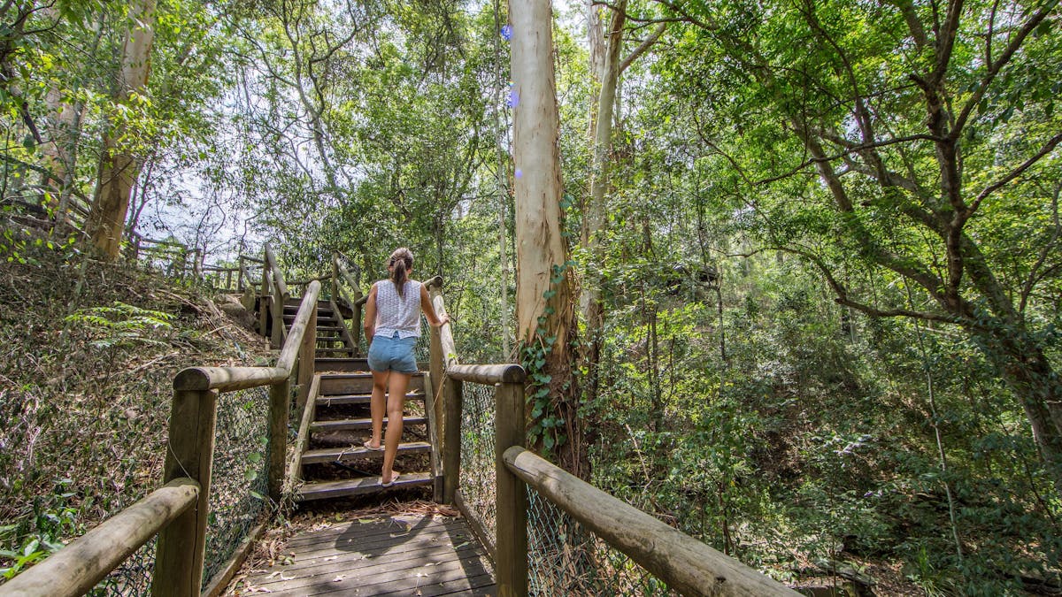 Kumbartcho Sanctuary Trails