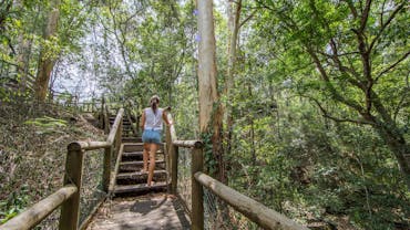 Kumbartcho Sanctuary Trails