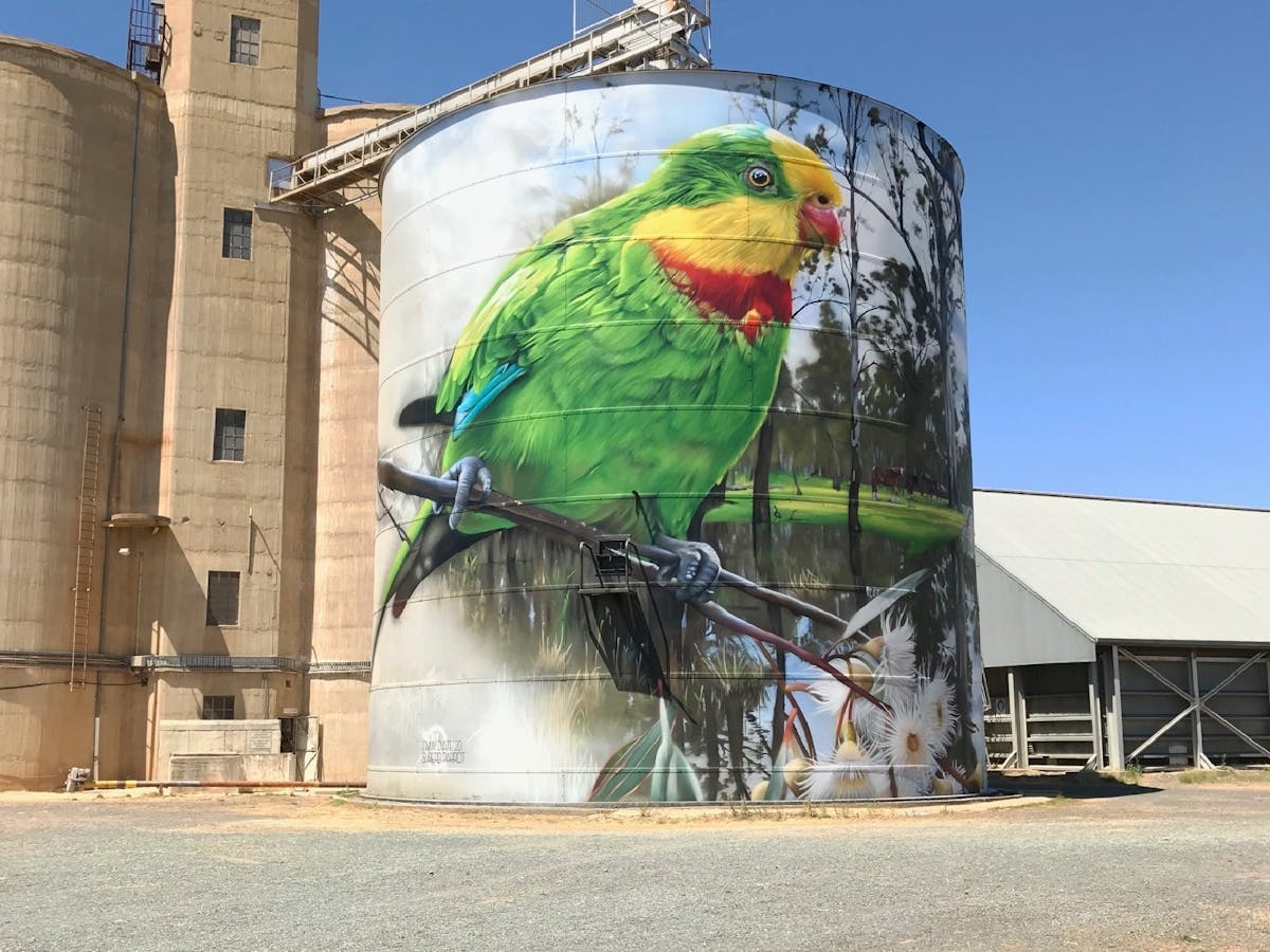 Picola Silo Art