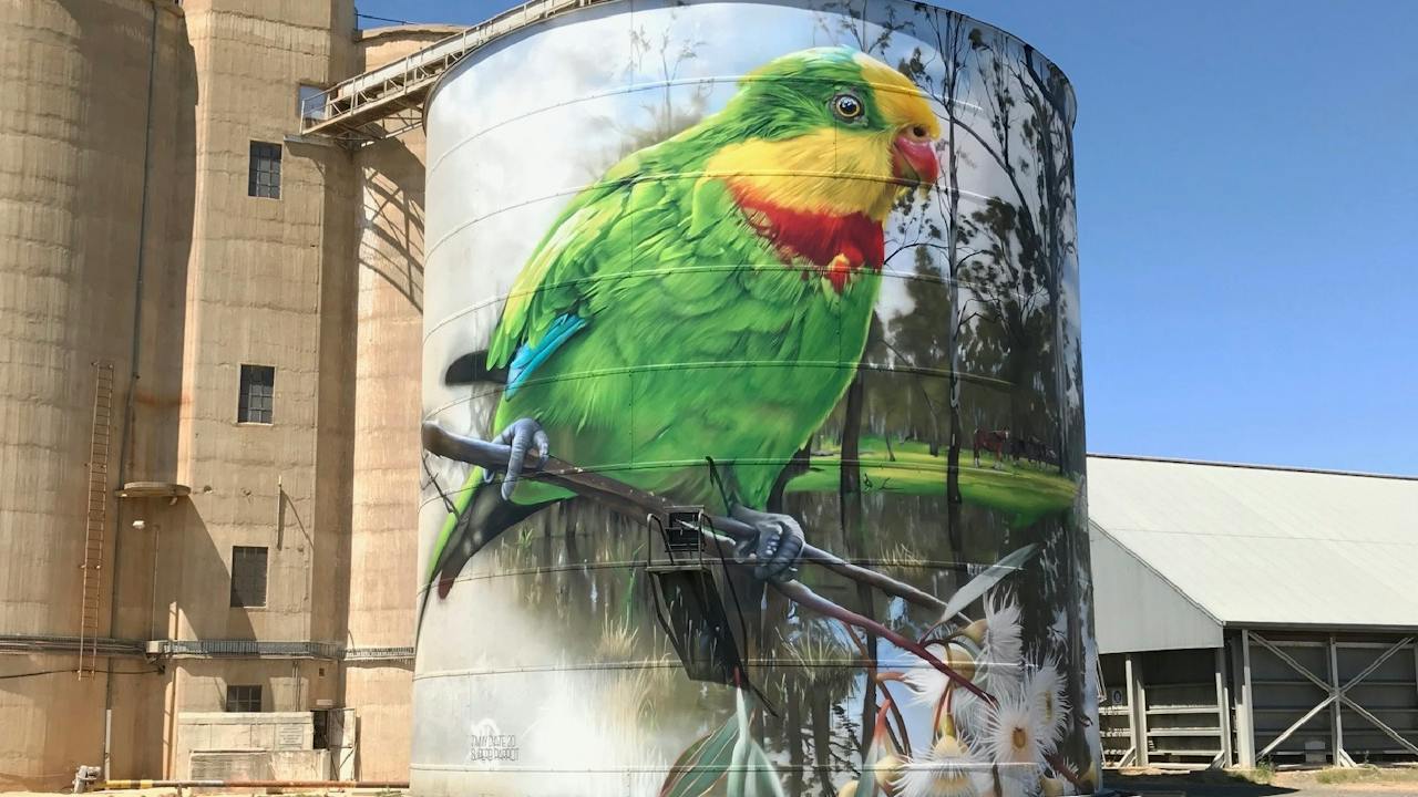 Picola Silo Art