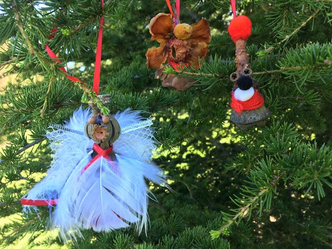 Children's workshop: Make your own botanical Christmas decorations
