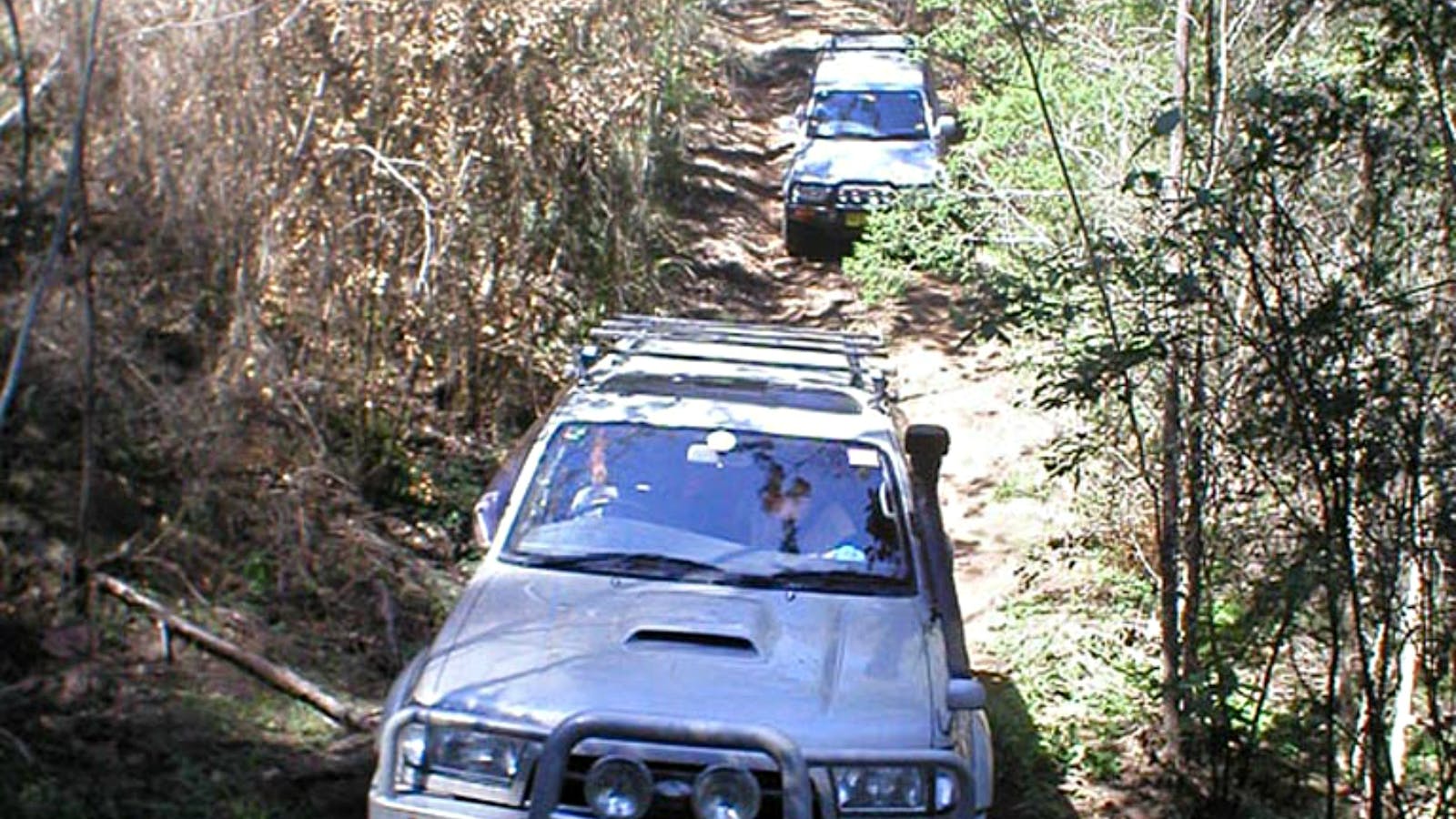 Big Yango Loop Trail