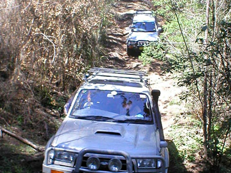 Mount Yengo Loop Trail, Yengo National Park. Photo: NSW Government