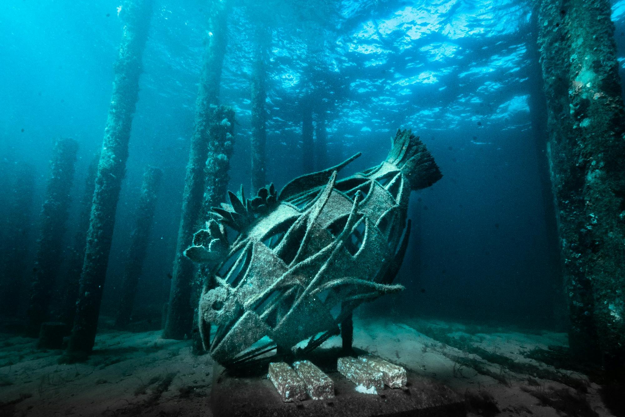 Busselton Jetty Underwater Sculptures