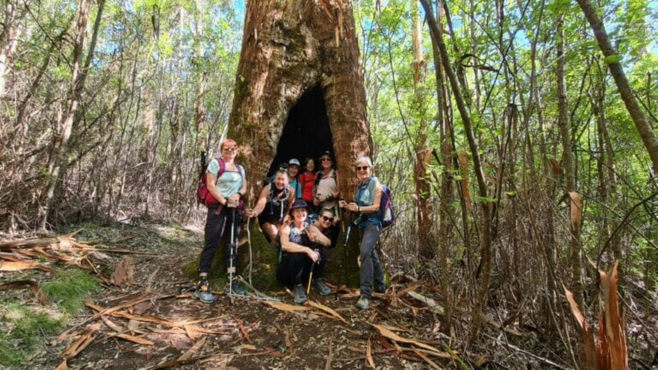 Albany Natural Wonders