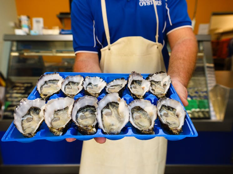 Fresh oysters