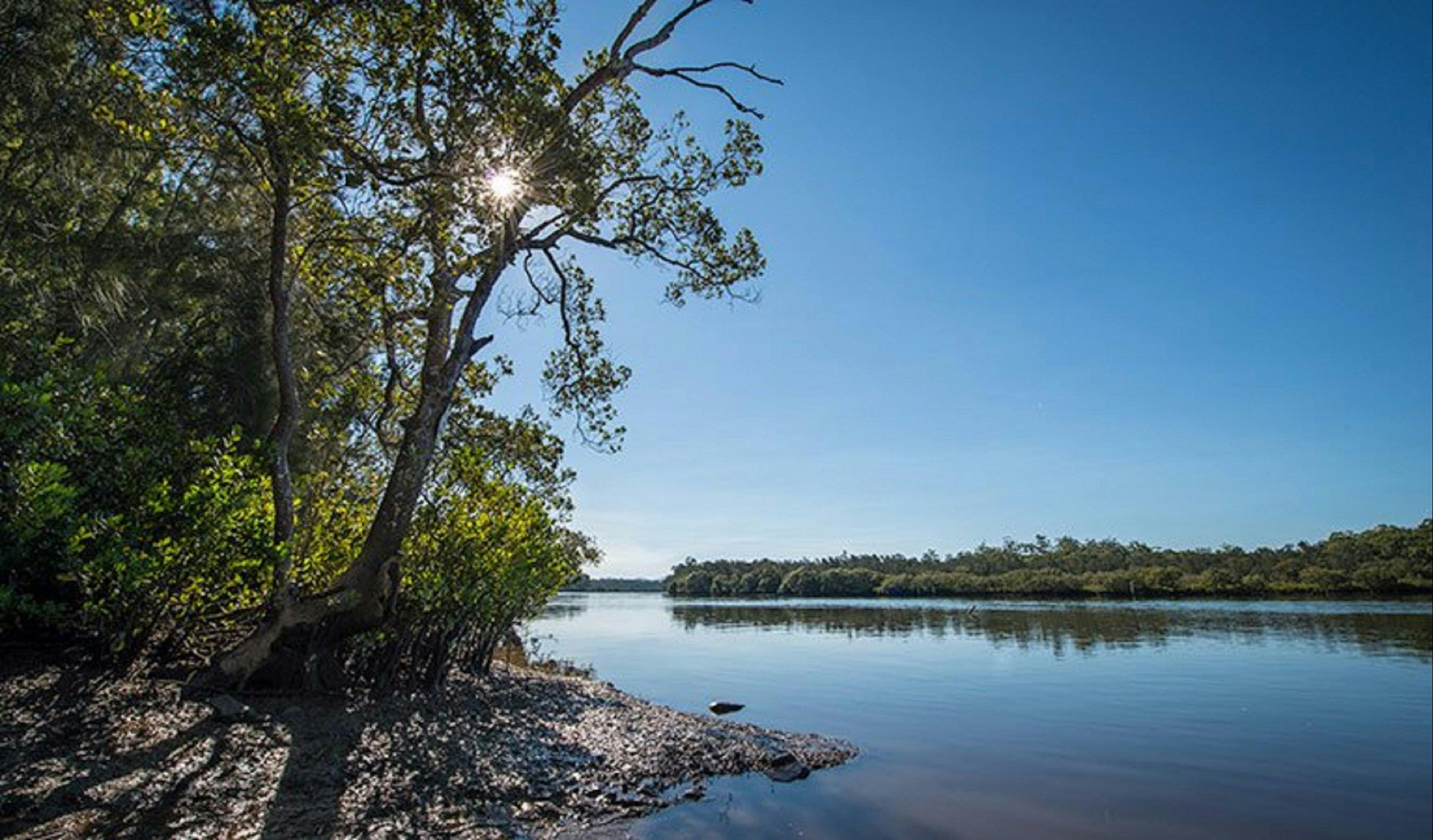 Karuah River National Park And Nature Reserve | NSW Holidays ...