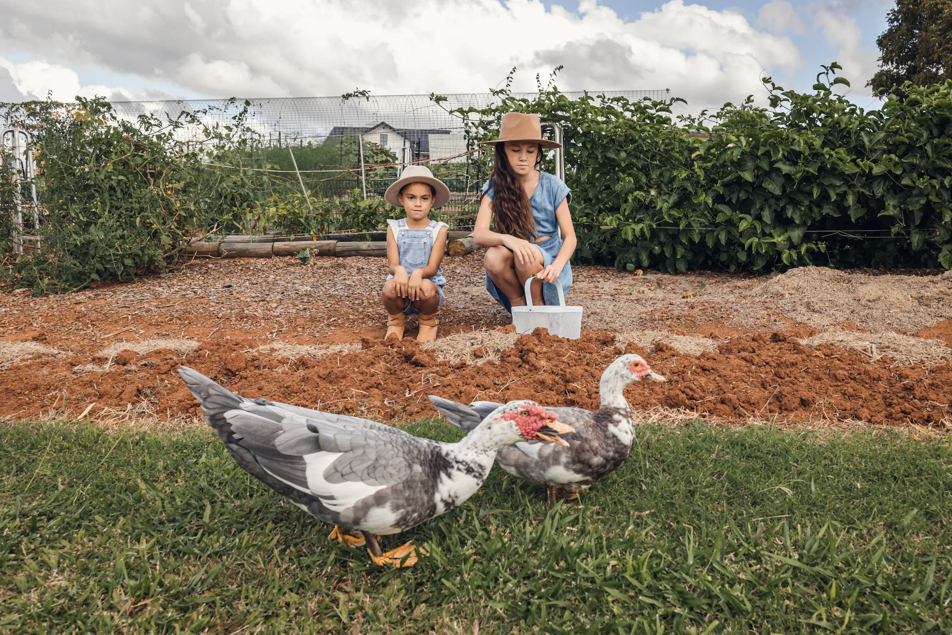 Children sitting in front of veggie patch feeding the ducks