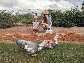 Children sitting in front of veggie patch feeding the ducks