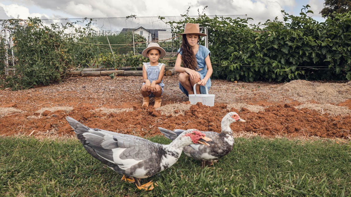 Children sitting in front of veggie patch feeding the ducks