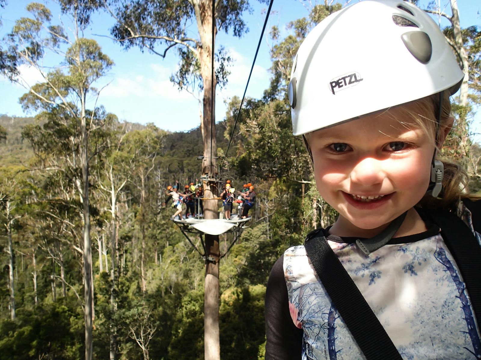Soar up to 50m high above the forest floor