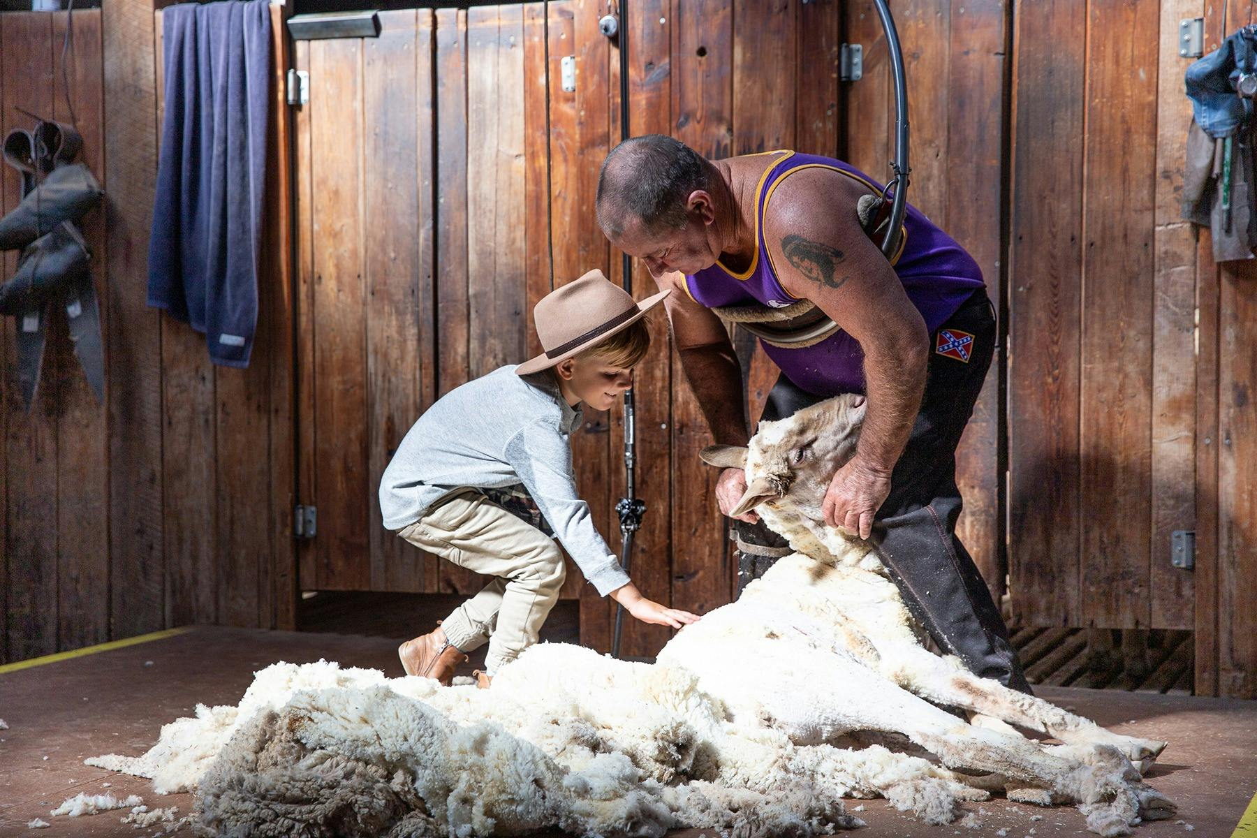 Shearing