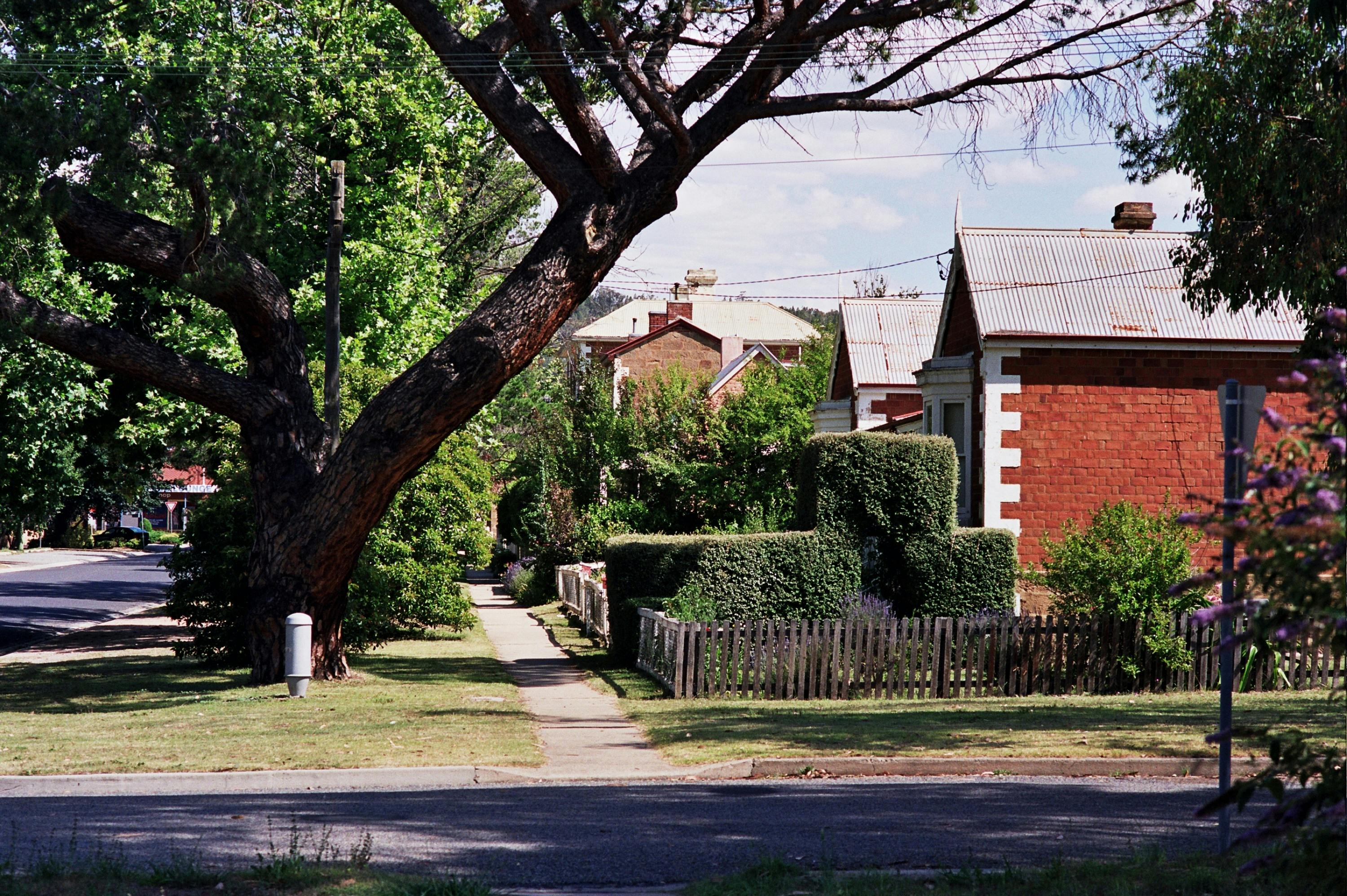 Lambie St