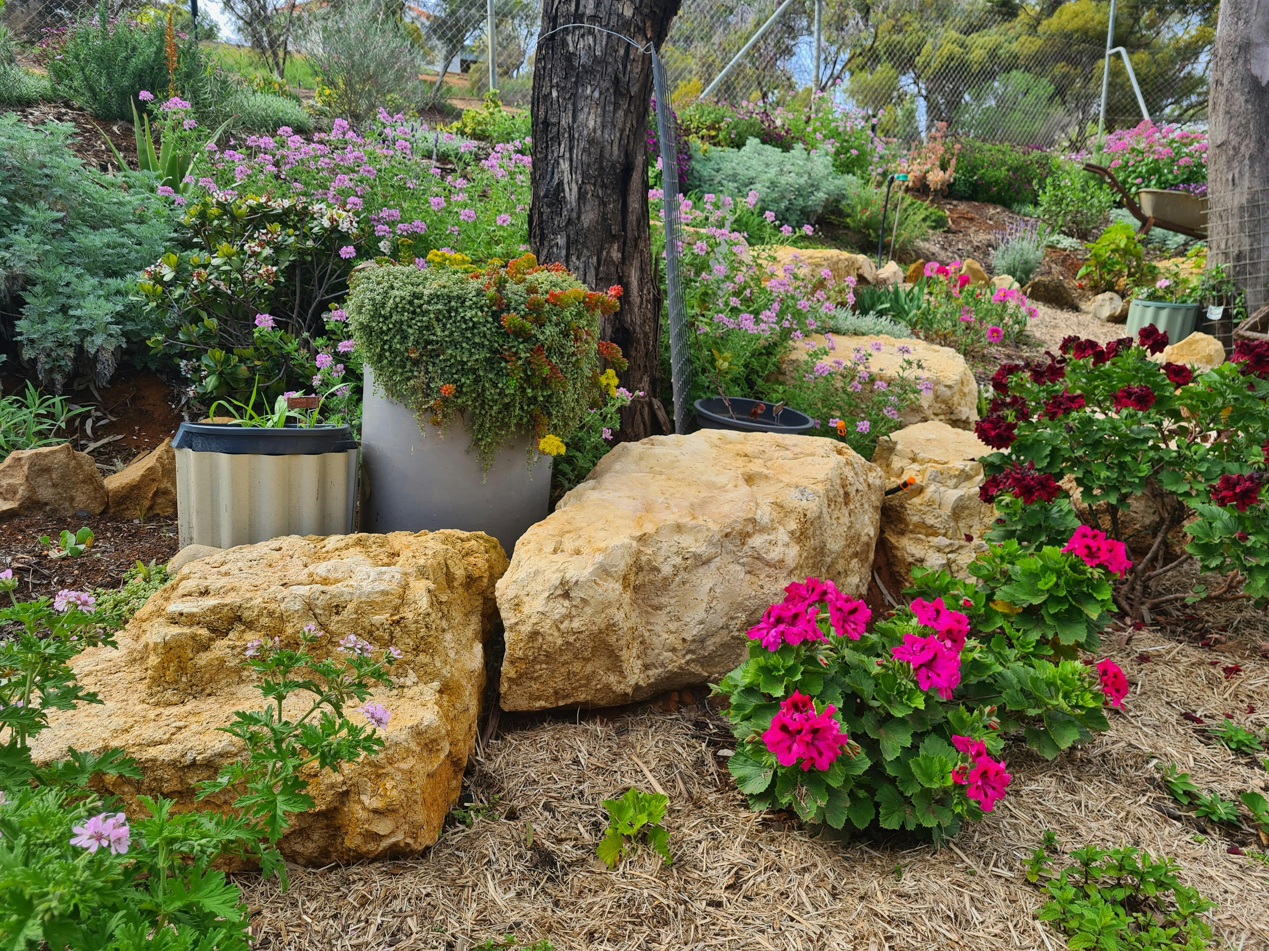 Loxton Historical Village Garden Day