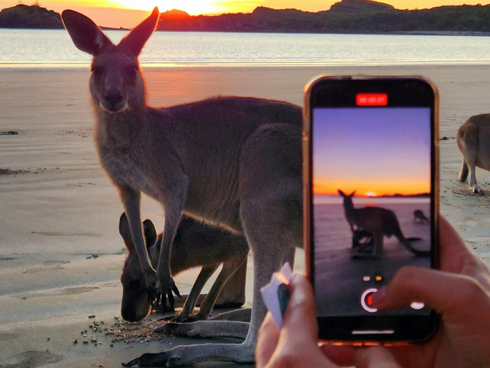 Sunrise has never been better.