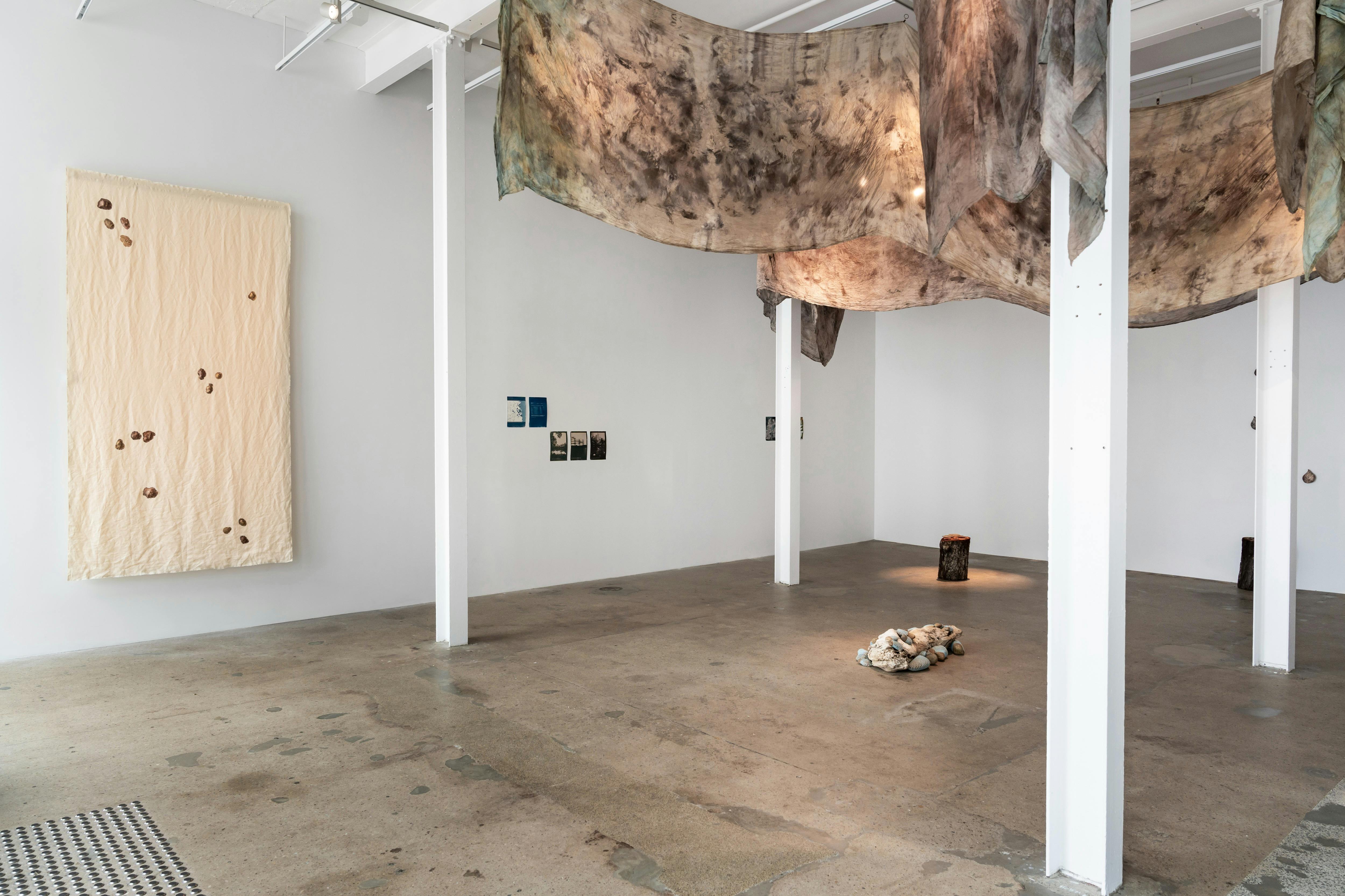 Norton Fredericks, Contaminated (2024), Exhibition view. Photo by Louis Lim.