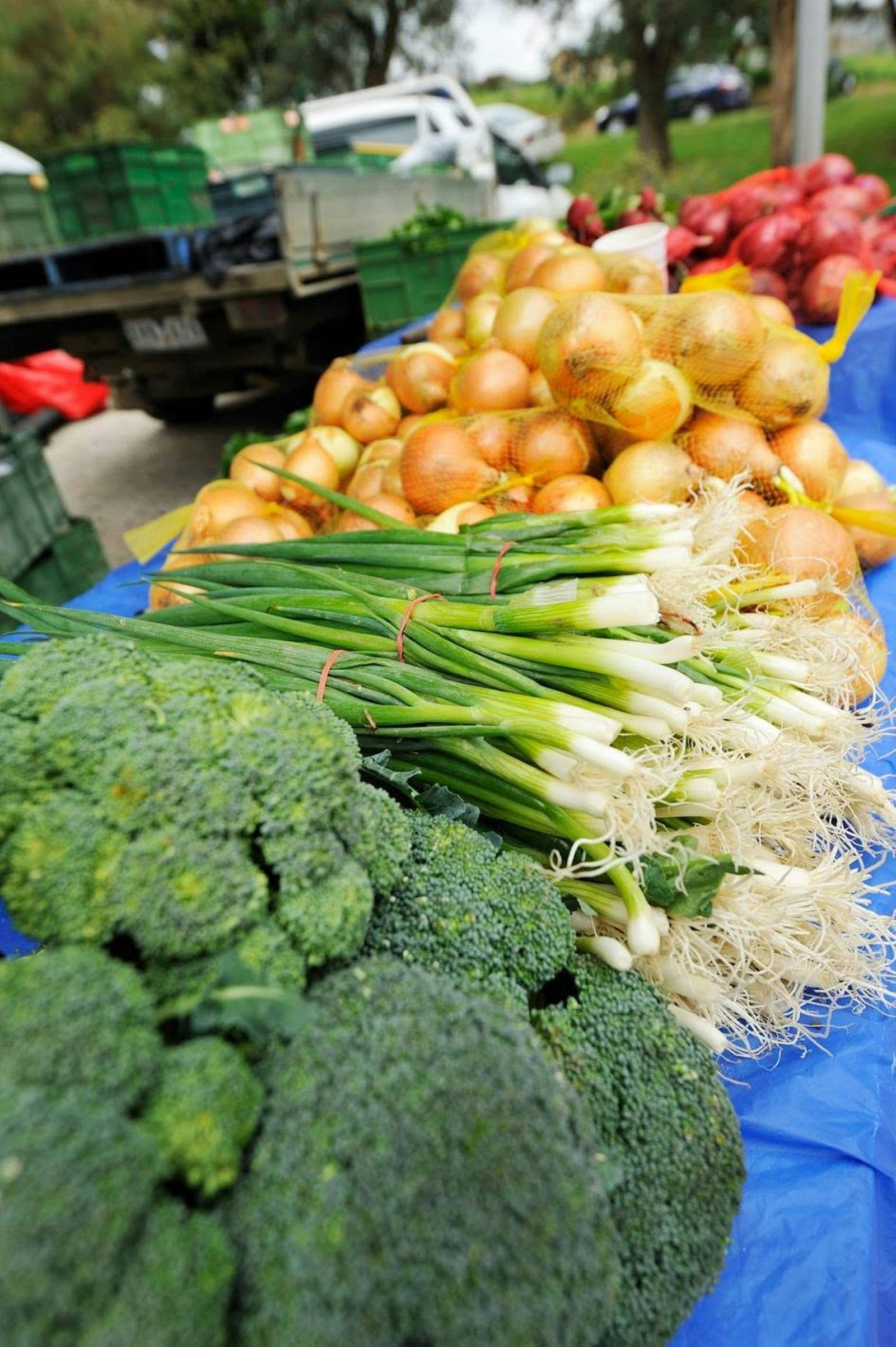 Coal Creek Fresh Veg