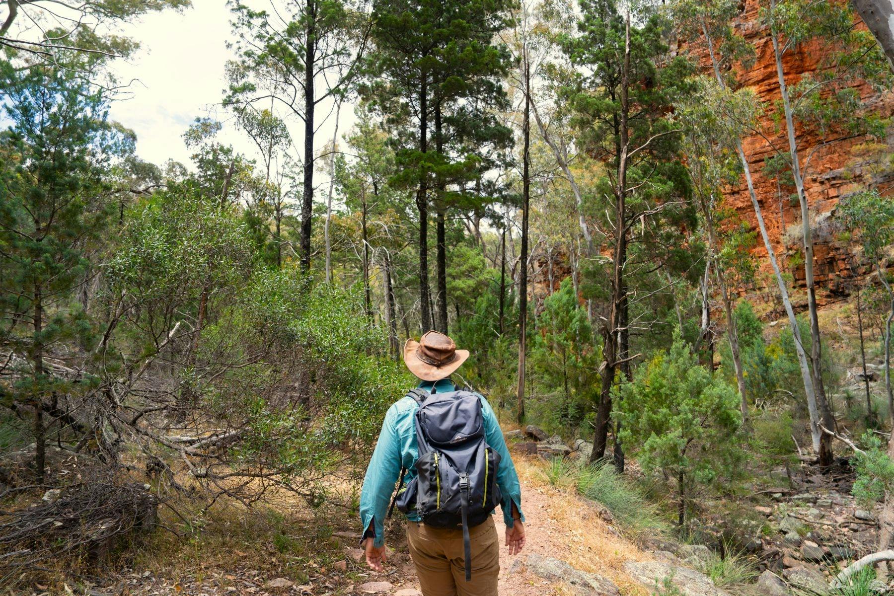 Hiking in the Flinders Ranges