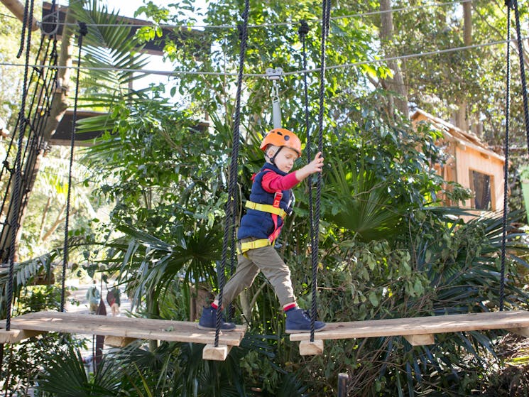 Wild Ropes at Taronga Zoo Sydney - Childrens Course