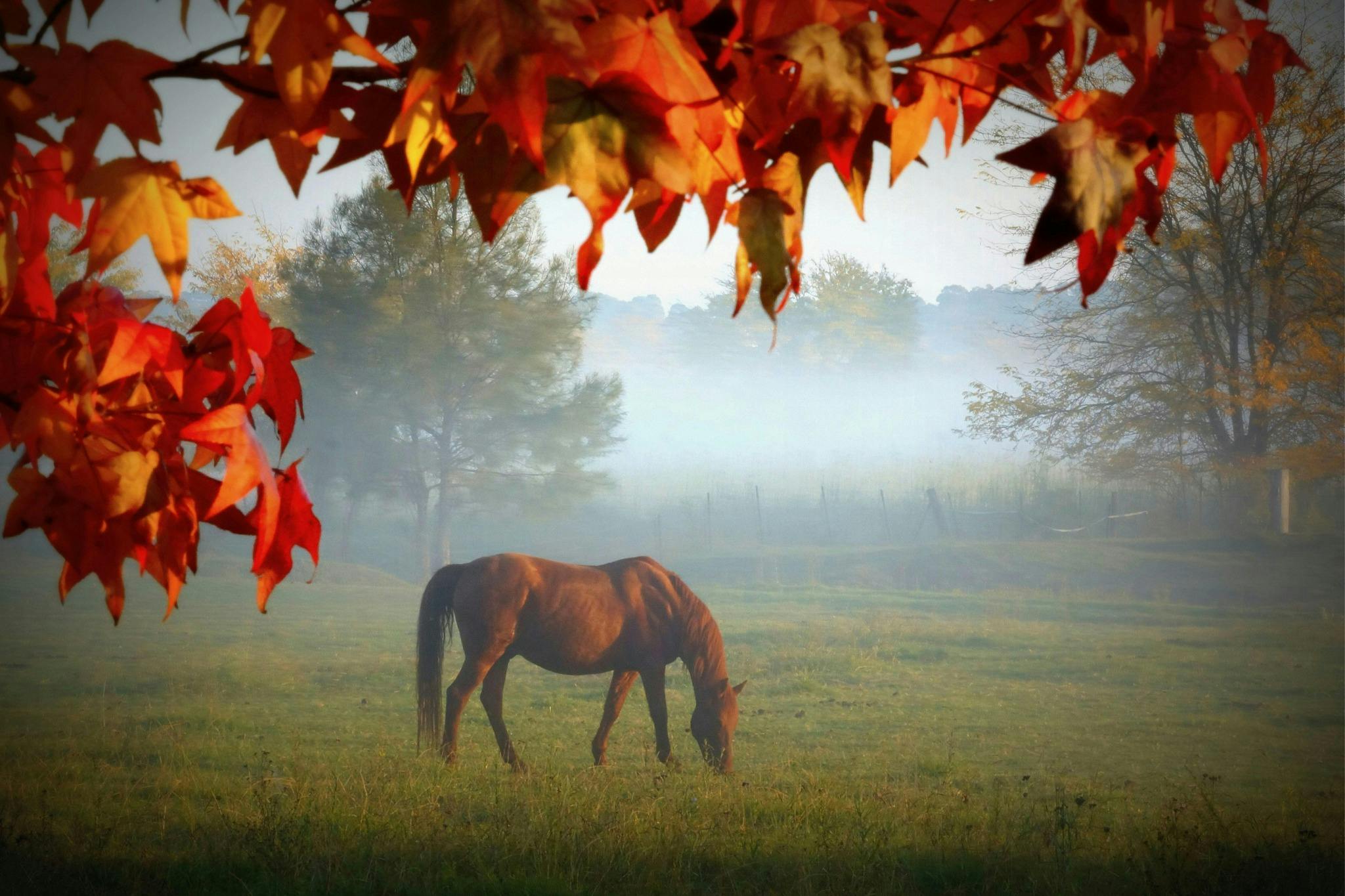 Wunderschöne Landschaft von Camden