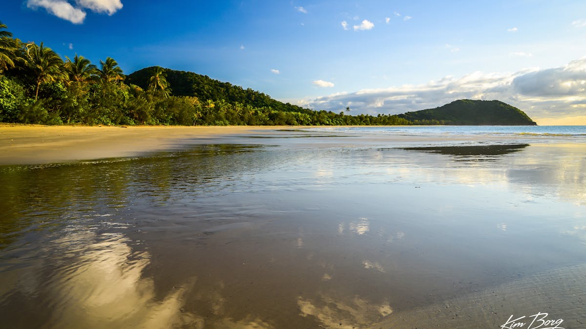 Campground view of Myall Beach, Cape Tribulation, Tropical North Qld