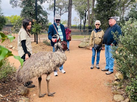 A Day In The Wild Group Tour