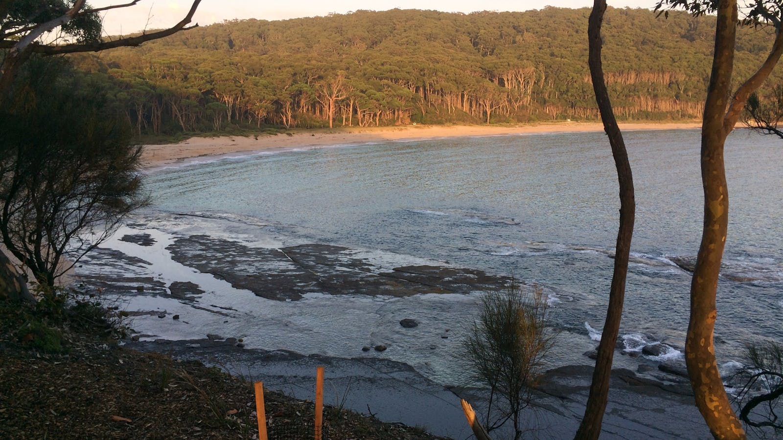 Dawn and dusk are great times to see kangaroos