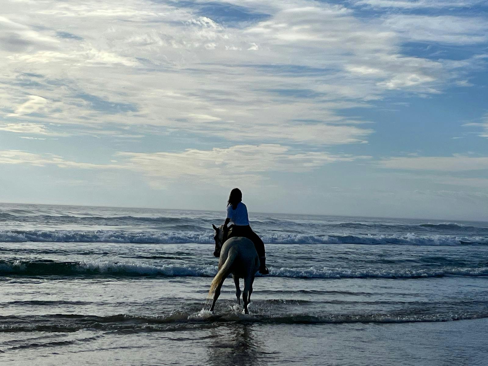Coastal Beach Rides