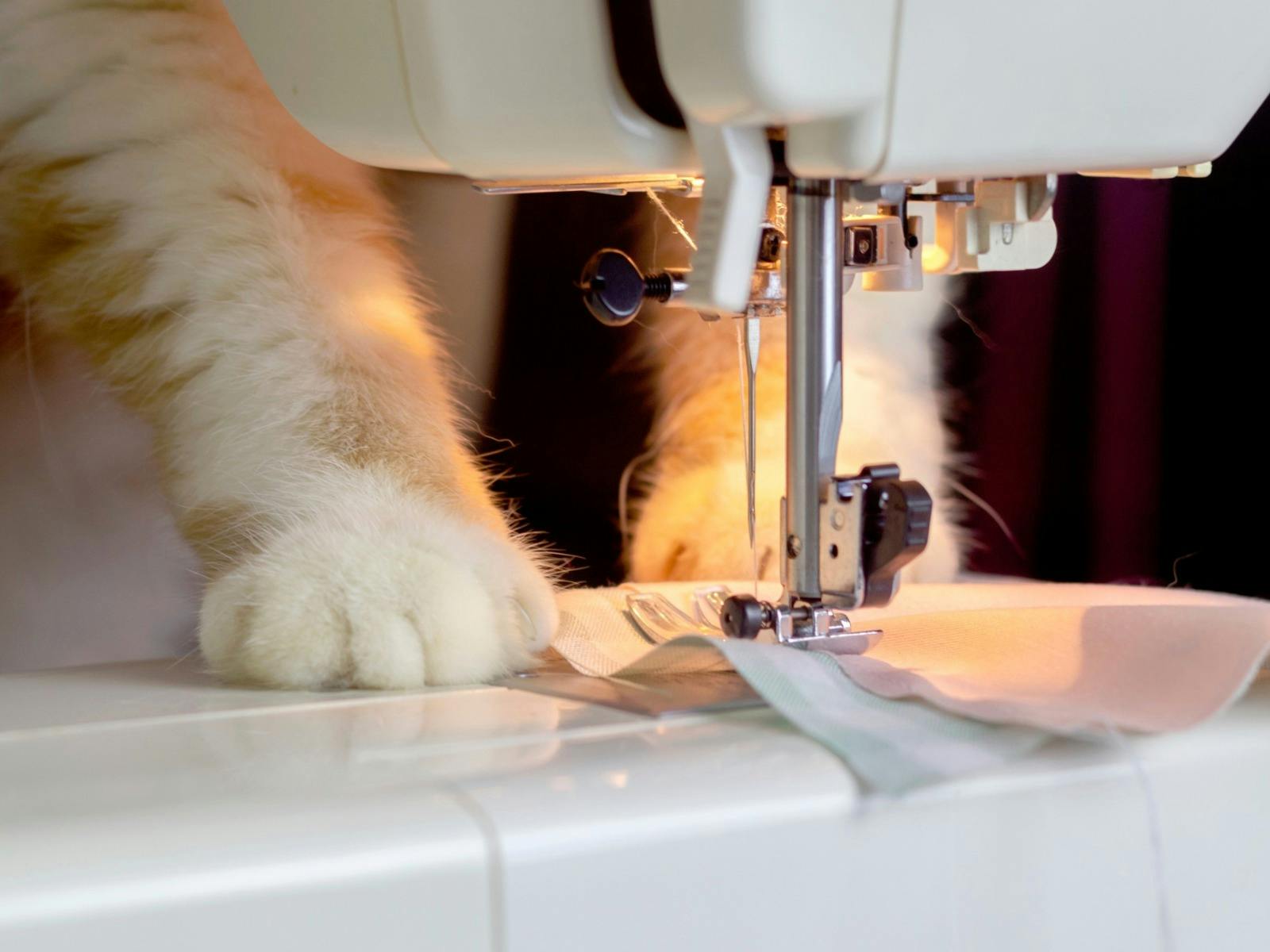 A Fine Quiltery FB 2