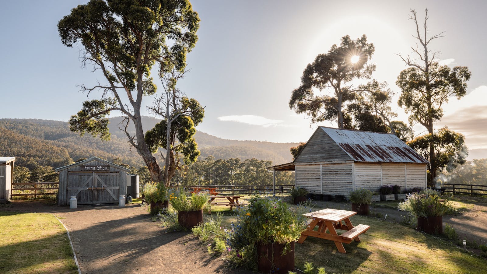 Glen Huon Dairy Farm