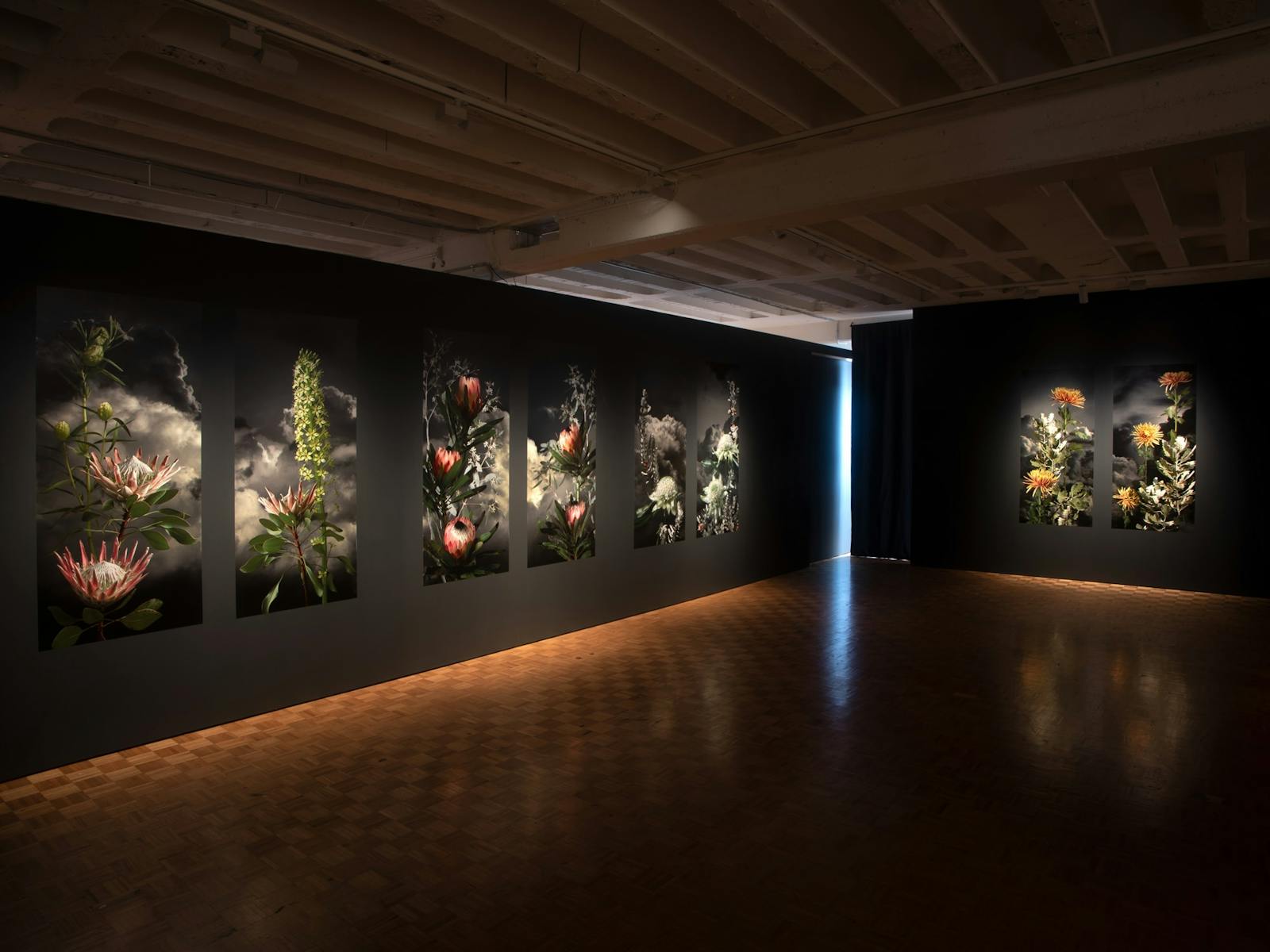 Gallery interior