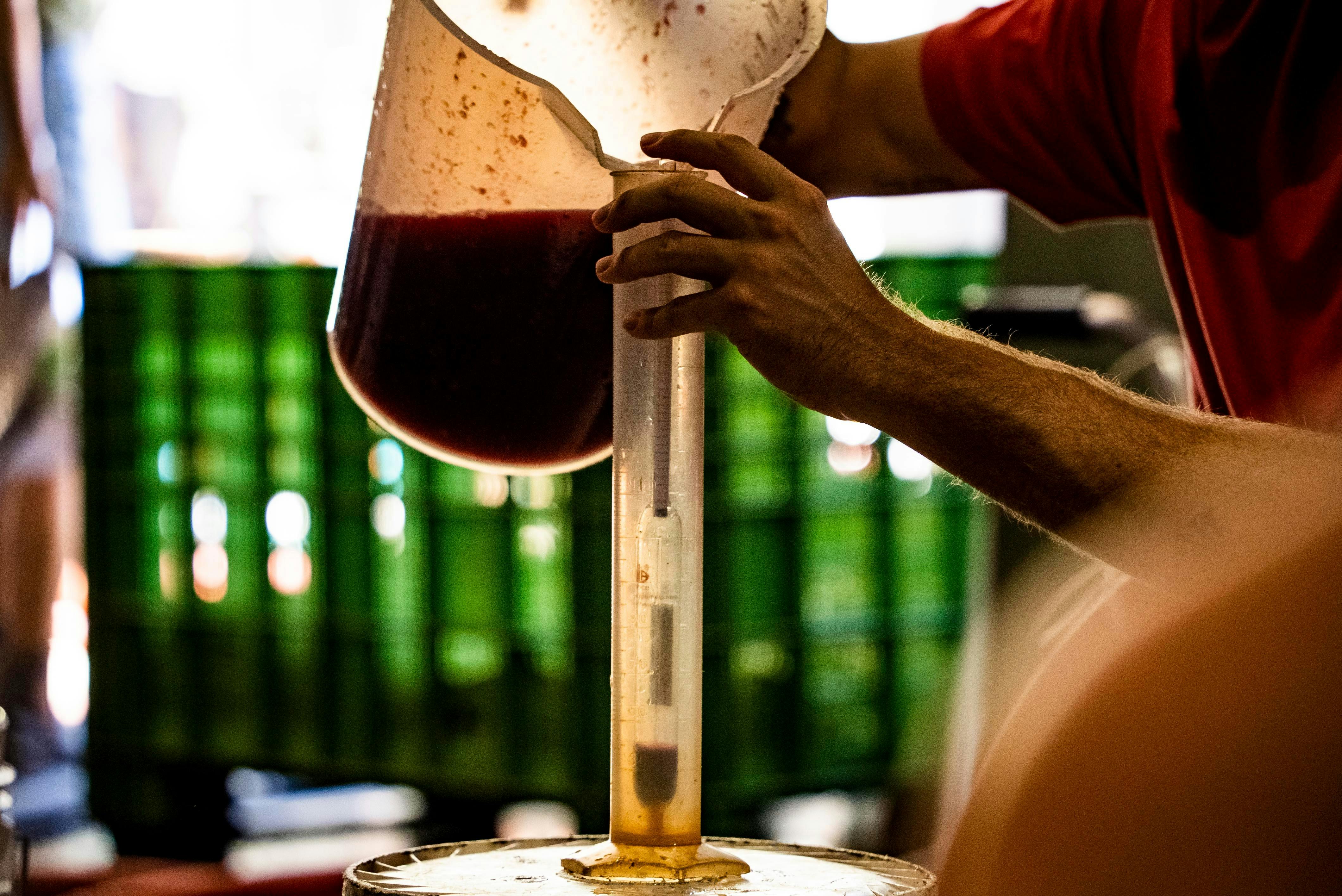 Hands-on activity of red-wine blending