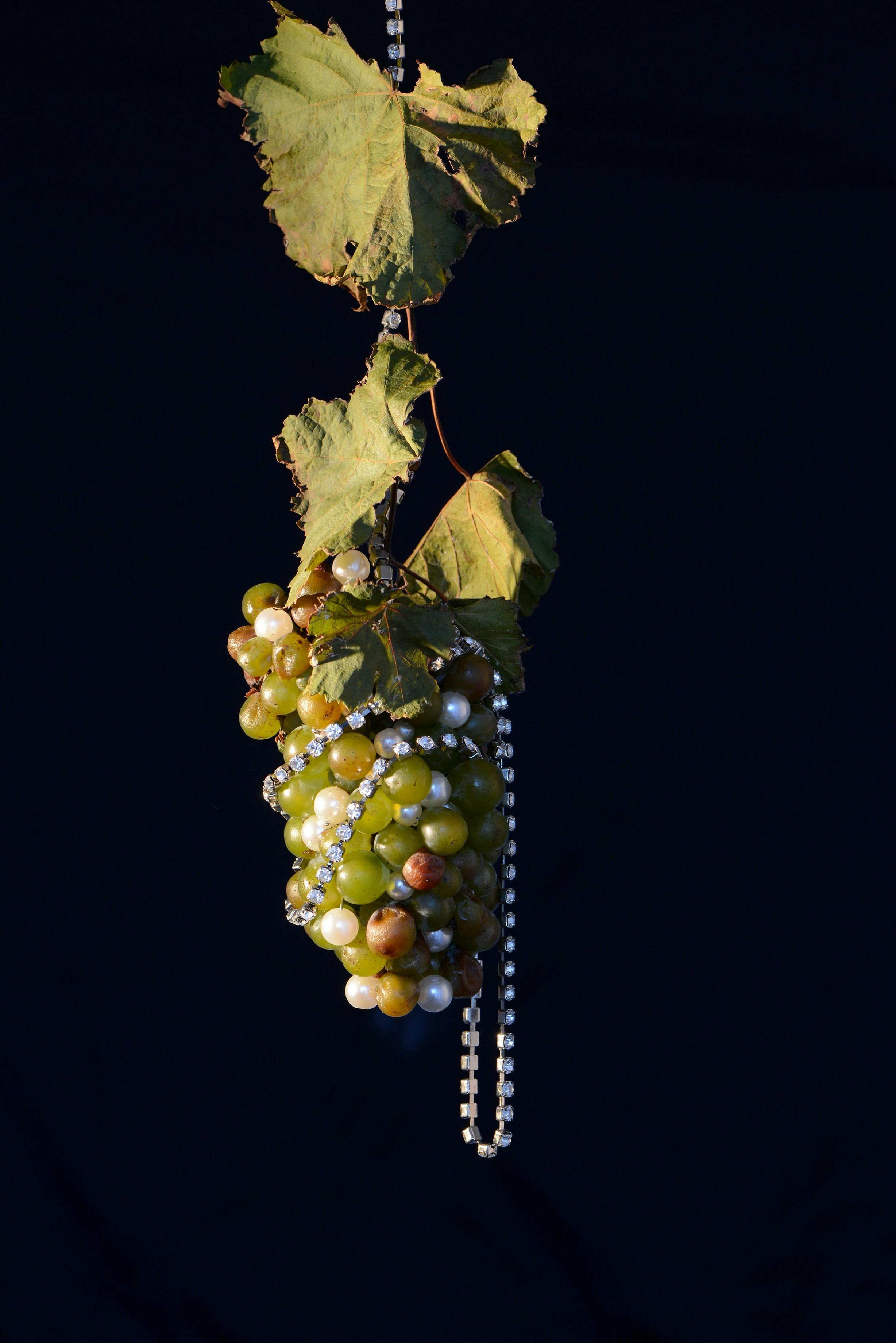 Bacchus Exhibition