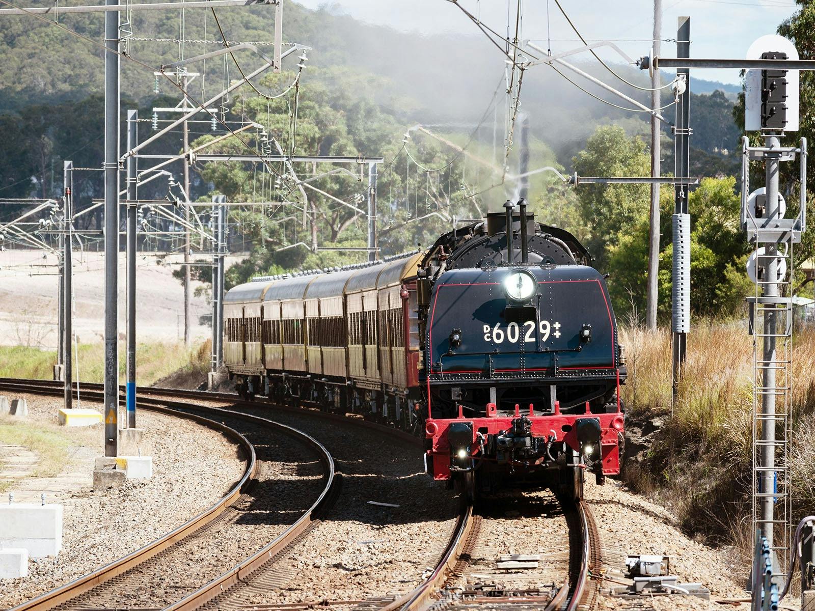 Penrith Steam Train Rides