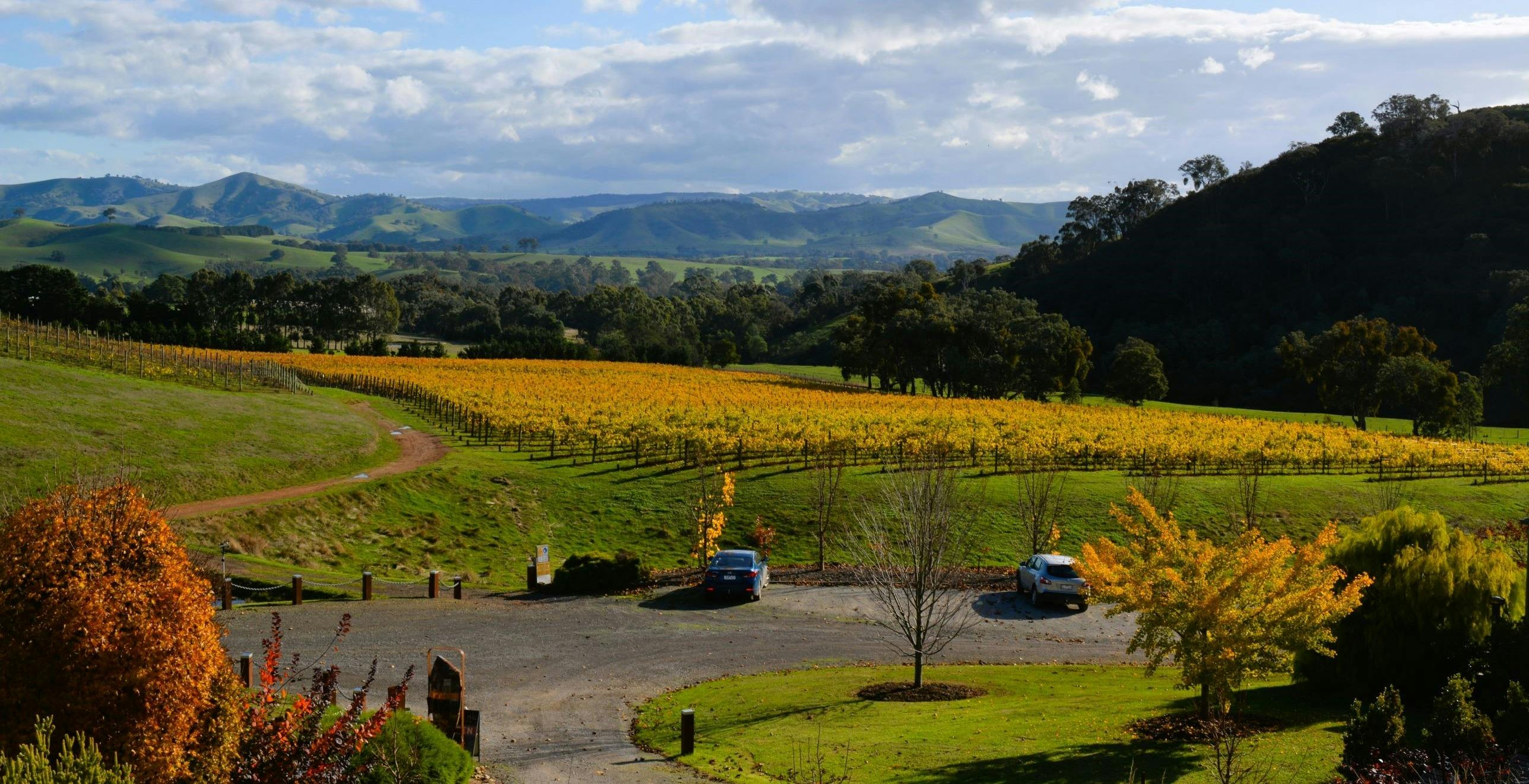 Overlooking the valley