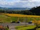 Overlooking the valley