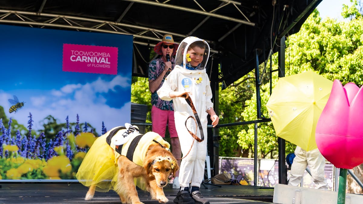 A boy dressed as a beekeeper leads a golden retriever dressed as a bee onto a stage.