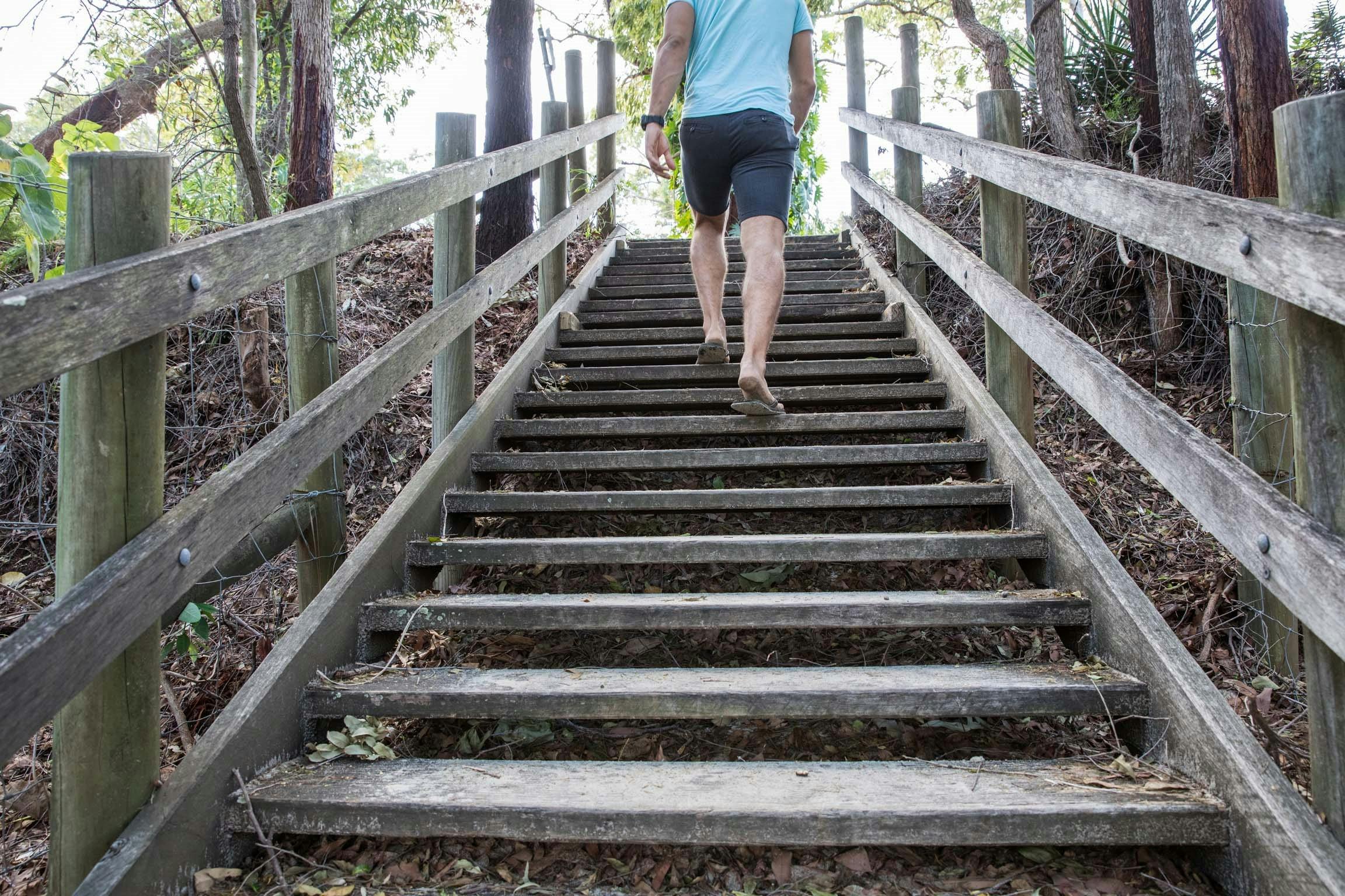 Taking a stroll along Bukcley's Hole Conservation Park walking tracks.